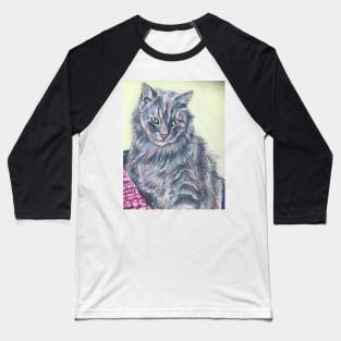 Fluffy grey cat Baseball T-Shirt